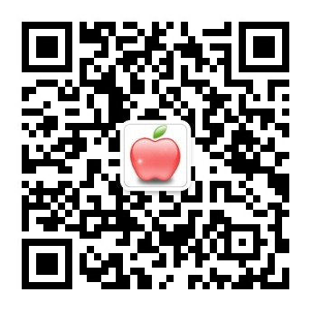 民丰县严但飞机股份公司-首页