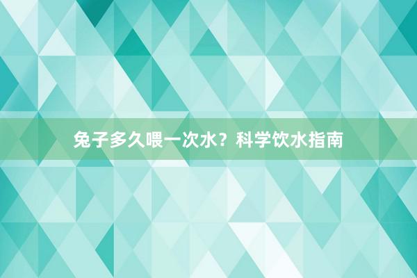 兔子多久喂一次水？科学饮水指南