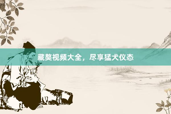 藏獒视频大全，尽享猛犬仪态